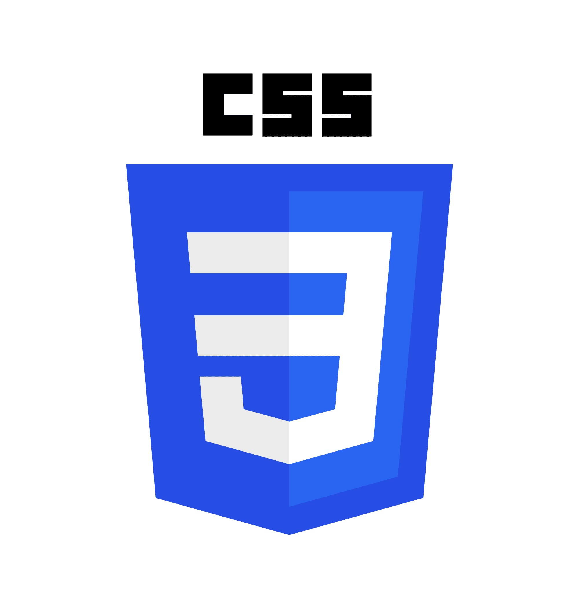 CSS